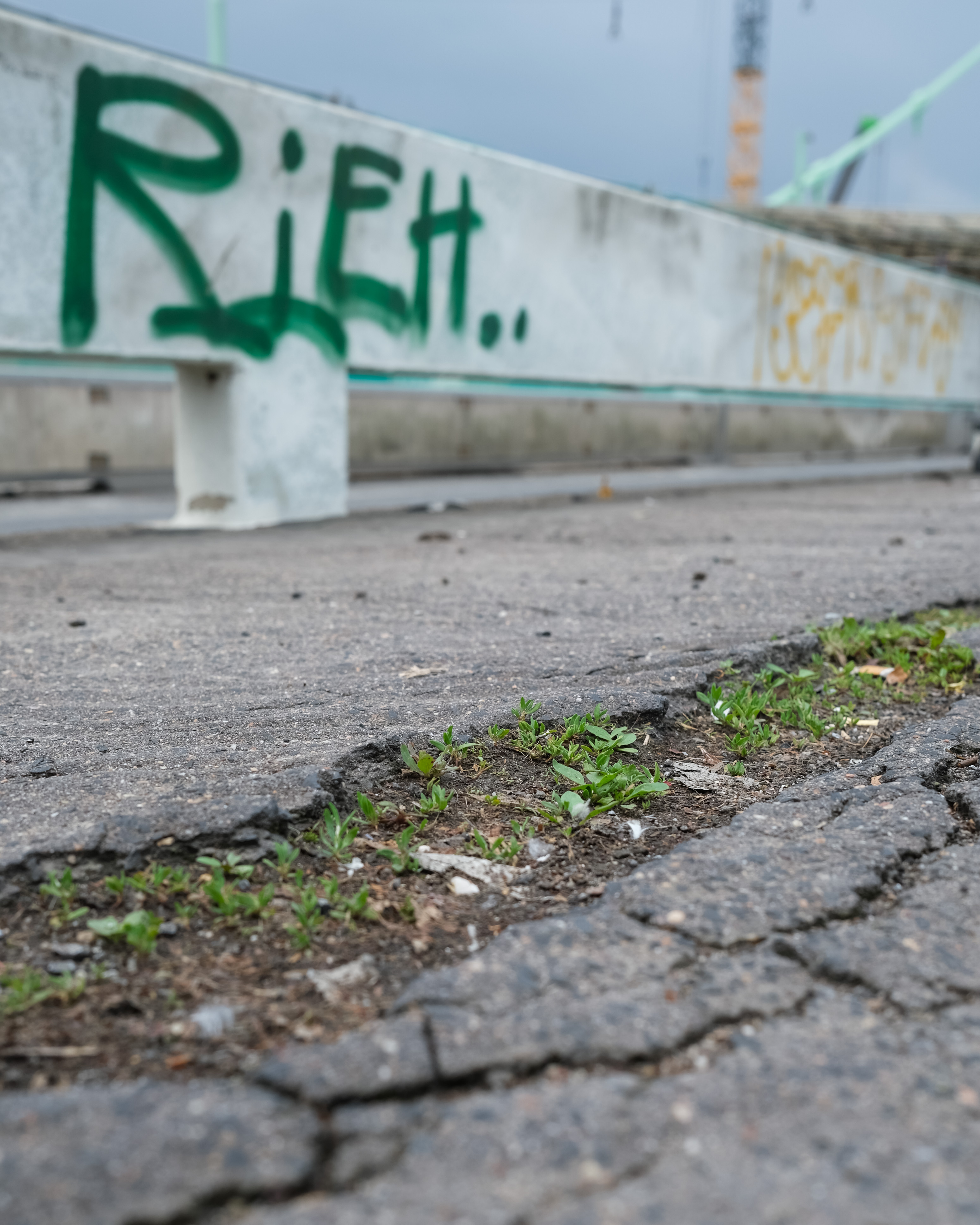 Köln Mülheimer Brücke Baustelle 2024 Dokumentation Fotoreportage Schäl Sick Köln
